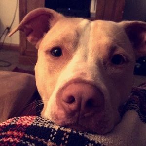 Meet your Posher, Kylie